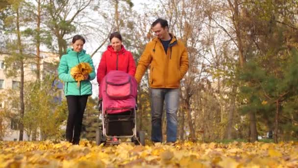 Glückliche Mama Papa und älteres Kind spazieren den Herbstpark entlang und rollen mit kleinem Baby lächelnd vor sich her. — Stockvideo