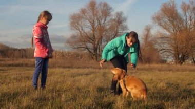 Çocuk ile bir köpek park oyun