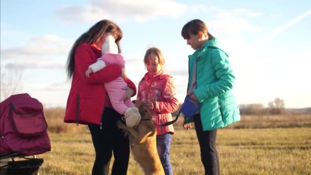Діти і мама, гуляючи разом зі своїм собакою — стокове відео