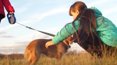 Genç kız evde beslenen hayvan köpekleri Park'ta yürüyordunuz olduğunu