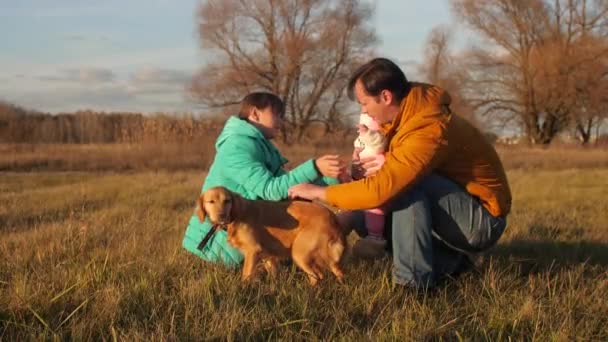 Семья знакомит ребенка с собакой. Папа, ребенок, собака и дочь гуляют в парке . — стоковое видео