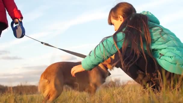 Tonårig flicka är petting sällskapsdjur hund promenader i parken — Stockvideo