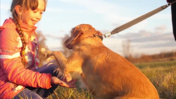 Hunden udfører kommandoen for at give ejeren pote. Pige går med hund – Stock-video