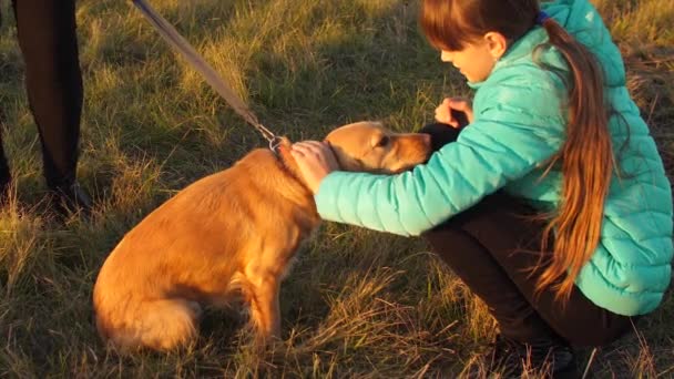 O cão executa o comando para dar a pata de proprietário. Menina está andando com o cão — Vídeo de Stock