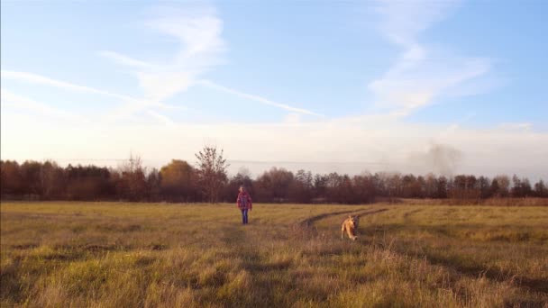 Perro corre en el campo, chica caminando con el perro, cámara lenta — Vídeo de stock