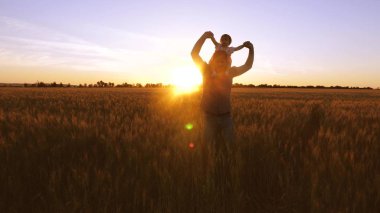 Baba küçük bebek onun omuzlarında taşıyan ve buğday alanında altın günbatımı çerçevede gülüyor.