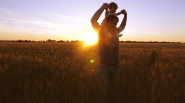 Baba küçük bebek onun omuzlarında taşıyan ve buğday alanında altın günbatımı çerçevede gülüyor.