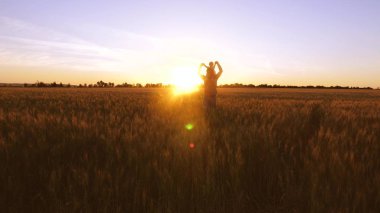 Babamla dans gülen ve buğday alanında altın günbatımı planda küçük bebek.