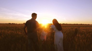 Çocuk ailesi ile alan golden sunset ışınlarının buğday ile yürür. Bebek anne ve baba oynamak ve buğday alanıyla gülmek.