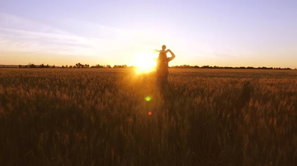 Dad Carries Small Baby His Shoulders Laughs Background Golden Sunset — Stock Photo, Image