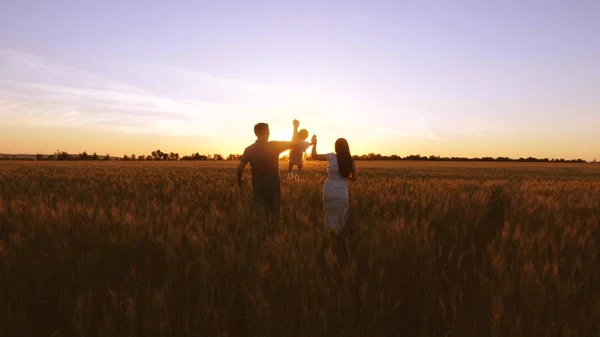 Çocuk Ailesi Ile Alan Golden Sunset Işınlarının Buğday Ile Yürür — Stok fotoğraf