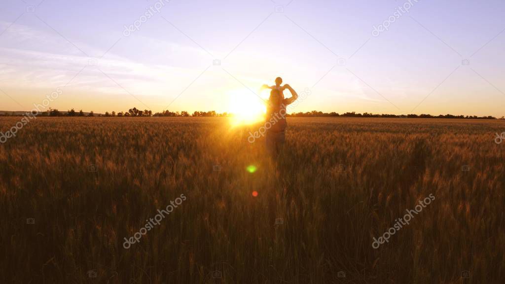 Dad carries small baby on his shoulders and laughs against background of golden sunset in field of wheat.