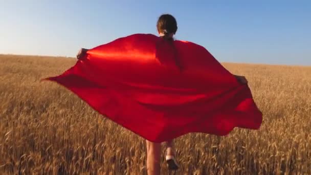 Menina super-herói correndo através do campo com trigo contra o céu azul. Movimento lento — Vídeo de Stock
