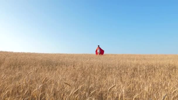 Superhéroe chica corriendo a través del campo con trigo contra el cielo azul y sonriendo — Vídeos de Stock