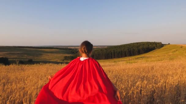 Superhero biegnie przez pole z pszenicy pod błękitne niebo. Zwolnionym tempie — Wideo stockowe