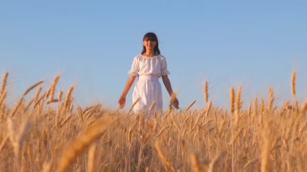 Chica feliz en vestido blanco es caminar y sonreír en un campo de trigo dorado, las niñas manos tocando espigas de trigo maduro, cámara lenta — Vídeos de Stock
