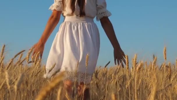 Menina feliz em vestido branco está andando e sorrindo para um campo de trigo dourado, mãos meninas tocando orelhas de trigo maduras, câmera lenta — Vídeo de Stock