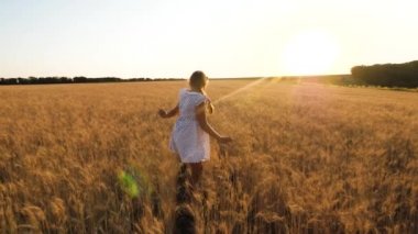 mutlu küçük kız ağır çekim alanındaki günbatımı bir arka plan üzerinde olgun buğday, uçuyor
