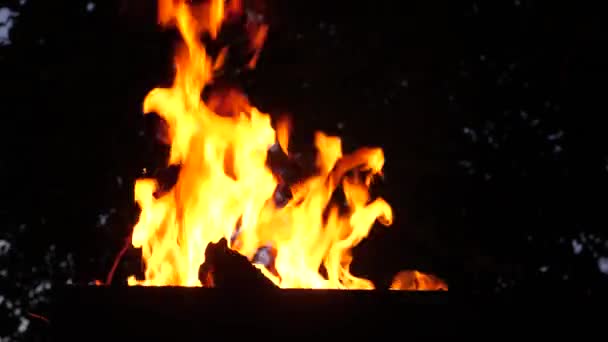 Fuego naranja quema en la parrilla por la noche, cámara lenta, primer plano — Vídeo de stock