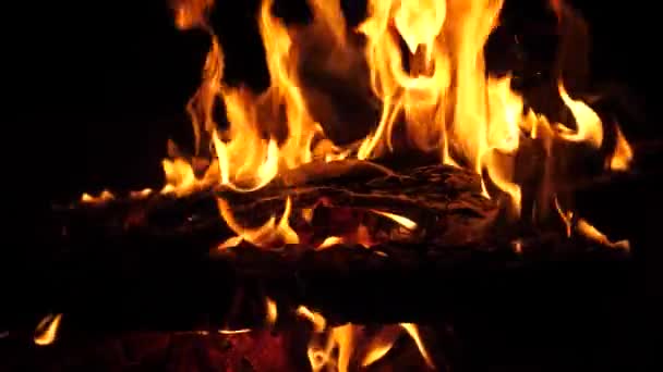 Feu vif brûle du bois dans l'obscurité, cendres dans le feu, gros plan, tir au ralenti — Video