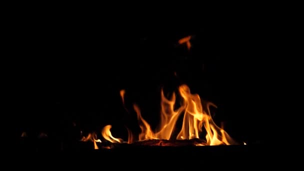 Beau feu brûle étincelles rouges volent vers le haut, ralenti, gros plan — Video