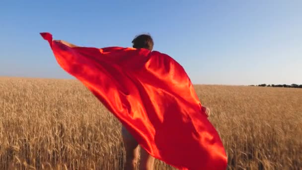 Ragazza supereroe in impermeabile rosso corre attraverso il campo con grano maturo contro il cielo blu. Rallentatore . — Video Stock