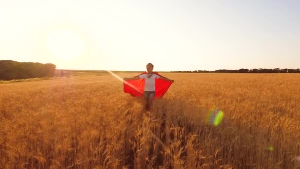 Fille joue Superhero, enfant court en manteau rouge à travers le champ avec du blé sous le ciel bleu. Mouvement lent . — Video