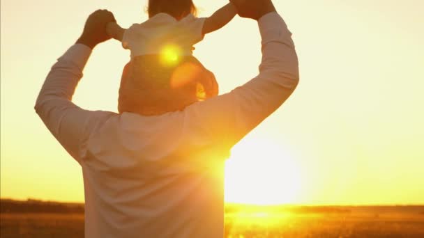 Papa beren Babysitting op zijn schouders bij zonsondergang van gouden zon. wandelen in de zomer in het park, en gelukkige familie close-up — Stockvideo