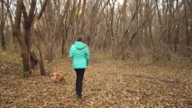 Genç kız ile bir sonbahar parkta köpek yürüyüş