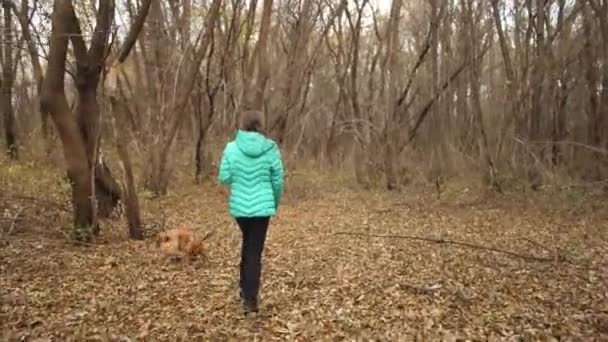 Menina adolescente andando com o cão em um parque de outono — Vídeo de Stock