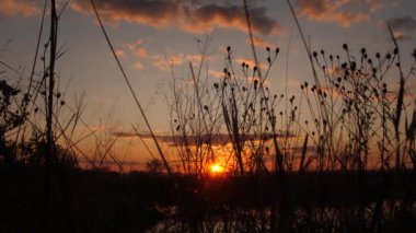 Mavi gökyüzü üzerinde güzel gün batımı.