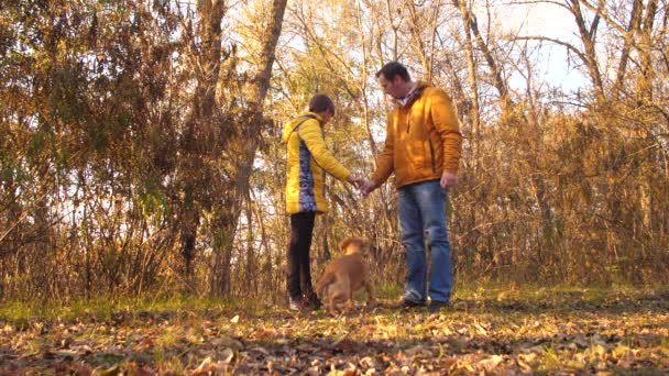 Vader en dochter zijn voeding hond in herfst park. — Stockvideo