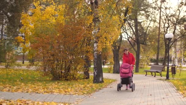 Mom Rolls Ahead Him Stroller Small Baby Autumn Park Slow — Stock Video