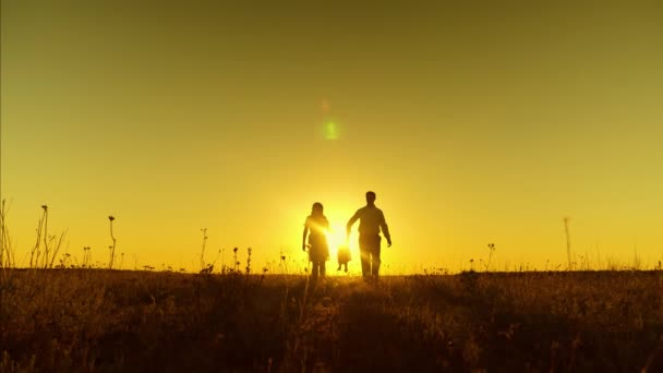 Ο μπαμπάς και η μητέρα παίζουν με το μικρό μωρό κρατώντας τα χέρια του σε ακτίνες του ήλιου το χρυσό ηλιοβασίλεμα. — Αρχείο Βίντεο