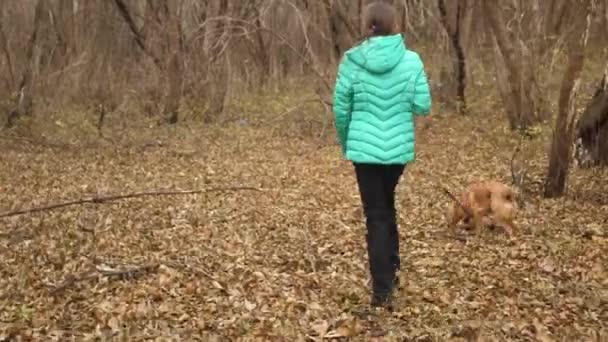 Девочка-подросток гуляет с собакой в осеннем парке — стоковое видео