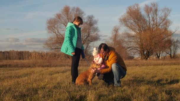 Vader met jonge kinderen aaien hond wandelen in het park — Stockvideo