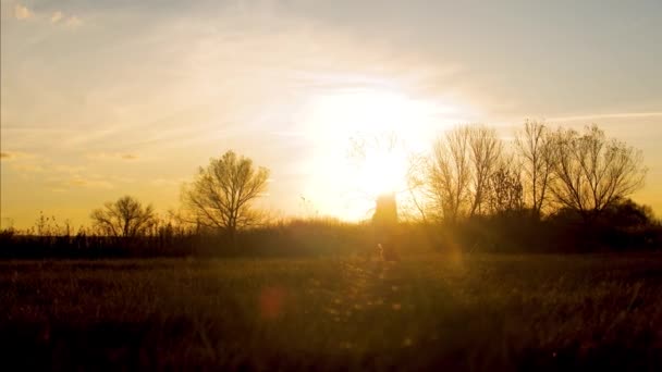 Fille marche avec un chien dans la prairie d'automne au coucher du soleil soleil soleil doré . — Video