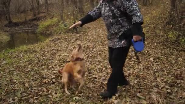 Azafata con perro está jugando en el parque de otoño — Vídeo de stock