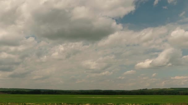 Nubes de cúmulos blancos vuelan en el cielo azul sobre el prado verde y las colinas. intervalo de tiempo — Vídeos de Stock