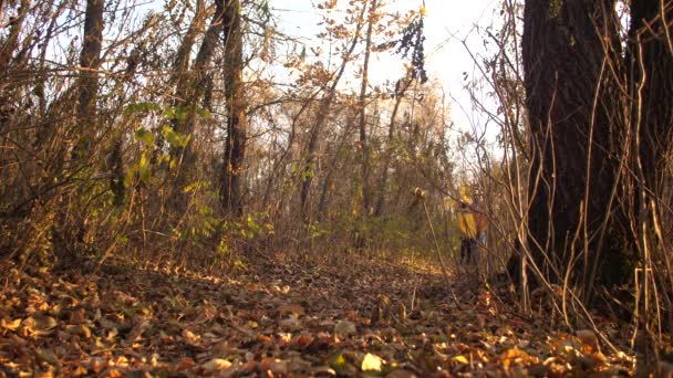 Vater und Tochter spazieren im Herbst mit Hund im Park entlang des Weges, Mädchen streichelt den Hund — Stockvideo