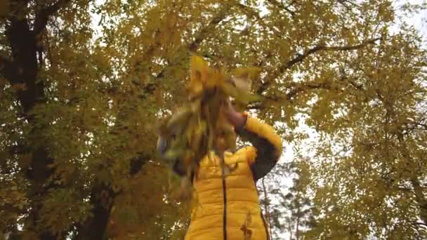 Tizenéves lány dobtak juhar levelek ősszel, mosolyogva. Lassú mozgás. — Stock videók