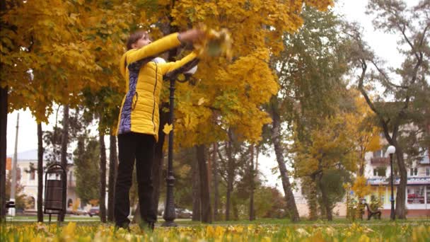 Ragazza nel parco autunnale vomita foglie gialle dell'acero. Rallentatore . — Video Stock