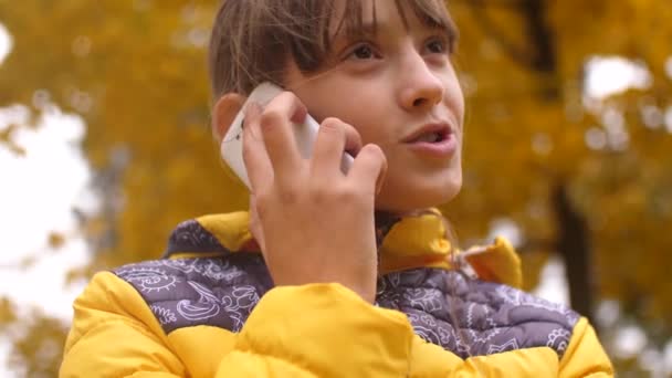 Menina Está Falando Telefone Parque Outono Dourado Sorrindo — Vídeo de Stock