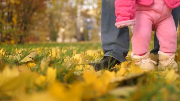 Papai segura a filha pequena em seus braços e ensina você a andar ao longo de folhas de bordo de outono douradas na estrada no parque — Vídeo de Stock