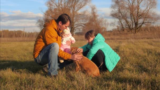 Dad and children pat dog in meadow. — Stock Video