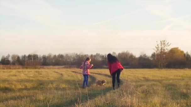 Las niñas están caminando con el perro a través del campo . — Vídeo de stock