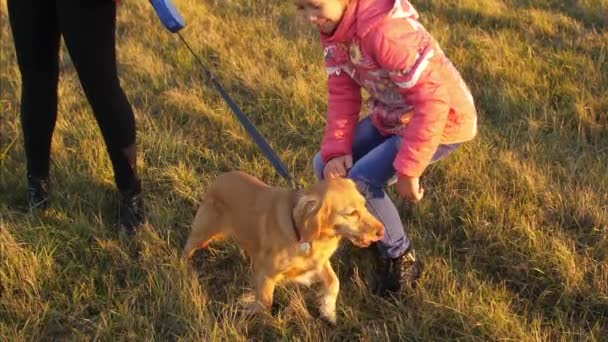 Familie wandelen in de herfst in het park met een hond, hond geeft poot aan meisje, het kind is het aaien van honden hand — Stockvideo