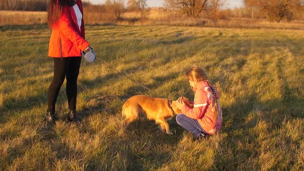 Mor, dotter och hund strosa på fältet, flicka strök handen hund — Stockfoto