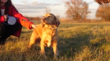 Anne ve kızı Park sonbaharda çayırda köpekle oynar