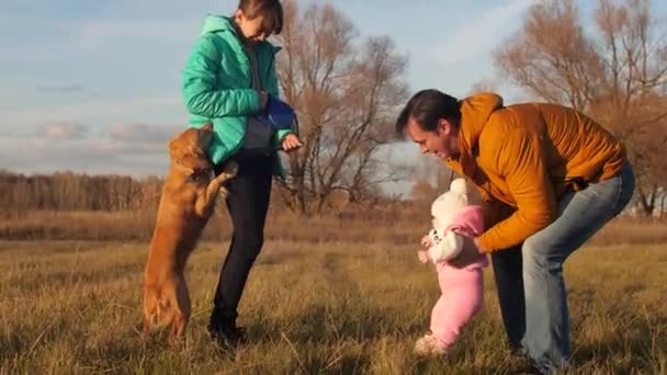 Papa spelen met kinderen en hond op de weide in een park van de herfst. familie introduceert kind aan de hond. — Stockvideo